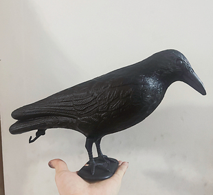 动物模型仿真乌鸦喜鹊全塑料户外场景装饰拍照道具玩具