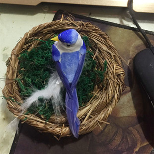 动物模型仿真鸟窝草编鸟巢孵蛋 鸟蛋羽毛鸟 摄影道具花园配饰摆件