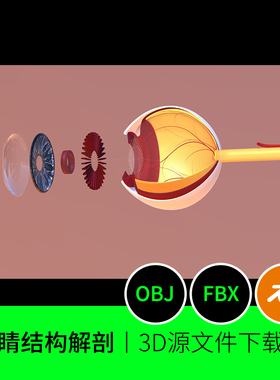 眼球眼睛瞳孔视网膜血管横截面3D三维模型素材文件下载blender450