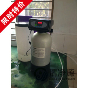 10L-1T每小时小型家用商用软水机软水器除水垢去离子出钙镁离子
