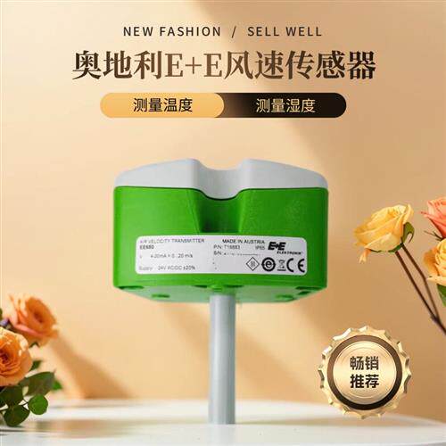 E+E益加义EE650-T2A6L200管道式风速传感器变送器风速仪EE65-VB5