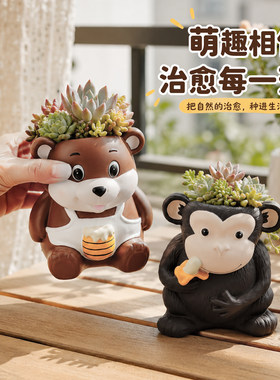 卡通蜂蜜小熊多肉花盆装饰花器