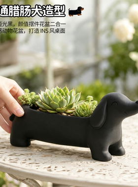 极简腊肠小狗花盆家用客厅阳台多肉绿植栽种创意装饰花器趣味摆件