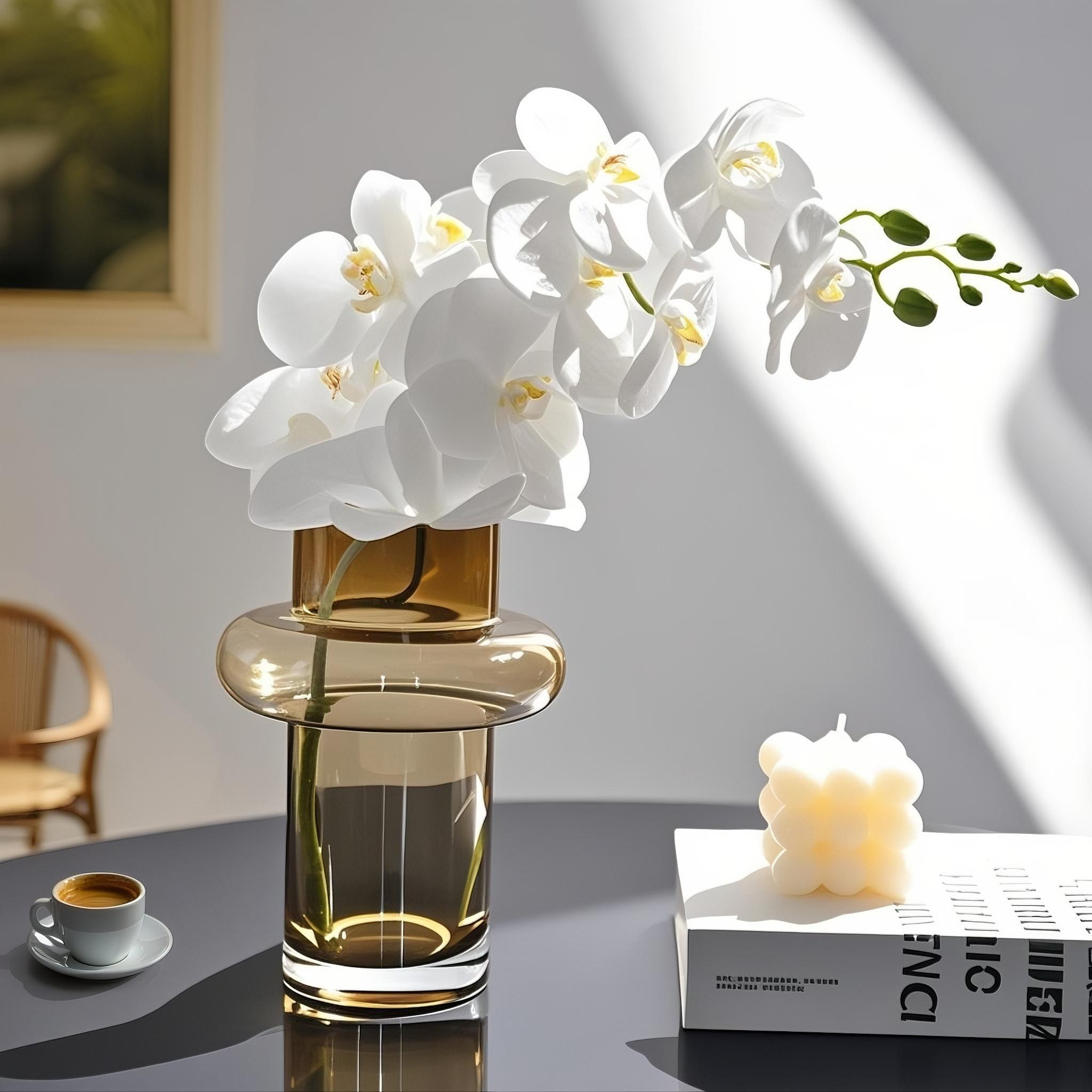 ins风水培插花瓶玻璃现代简约