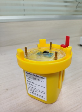 AIS SART 华讯 HX-5000 雷达应答器电池 4ER34615M 带CCS证书