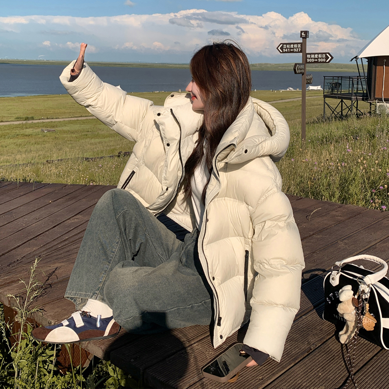 【现货充足】短款连帽羽绒服蓬松面包服005-6030-P345-P518，女装羽绒服，浙宝005