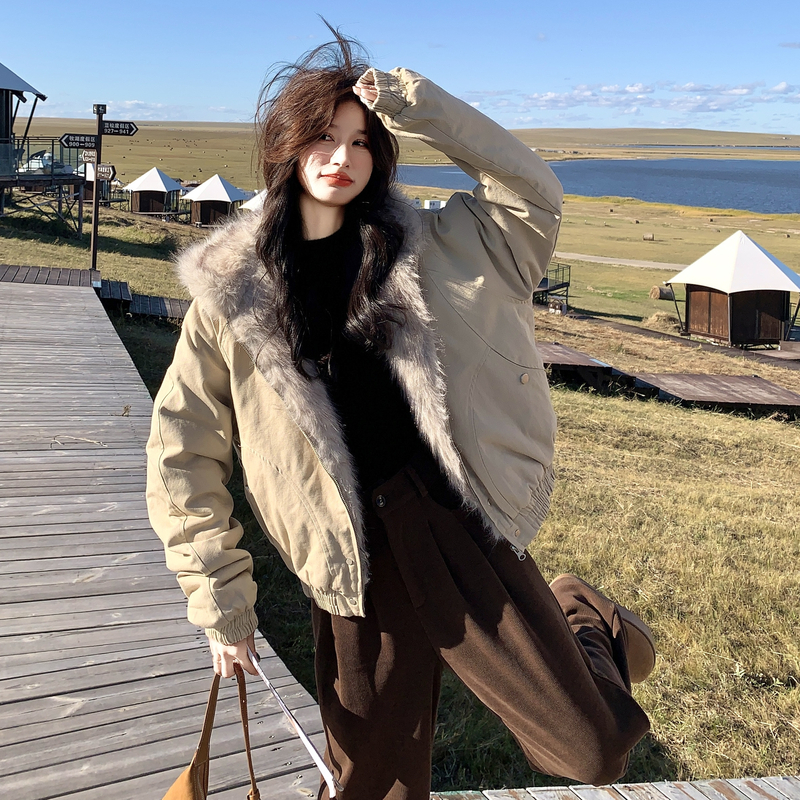 【现货】毛领连帽棉服2025冬季加厚保暖棉衣005-8090-P255-K378，女装棉衣/棉服，浙宝005