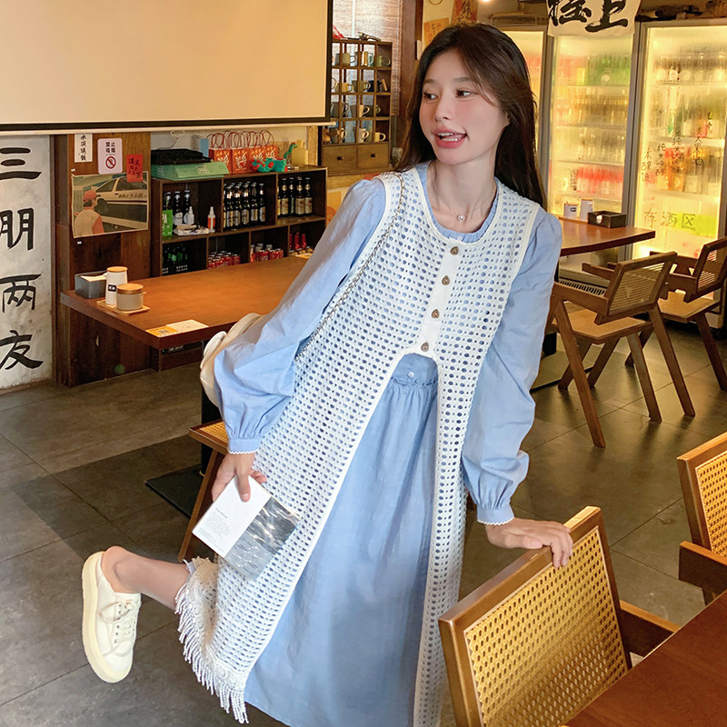 蓝色韩系连衣裙春秋女2025新款高级感叠穿蕾丝罩衫裙,女装连衣裙,浙宝005