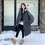 【现货】毛领连帽牛角扣白鸭绒派克服005-8097-P385-K588，女装羽绒服，浙宝005