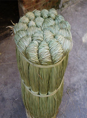 端午粽绳马莲草咸水草天然清香粽子绳包粽子草绳捆大闸蟹草扎螃蟹