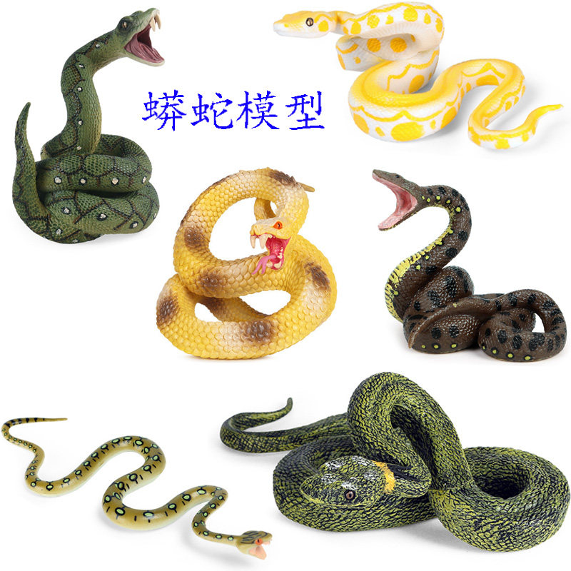 缅甸蟒蛇亚马孙森蚺儿童认知玩具