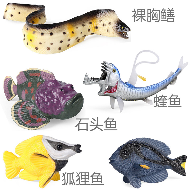 硬树脂裸胸鳝海鳝鱼蝰鱼石头鱼狐狸鱼黄尾副刺尾鱼海洋动物小玩具