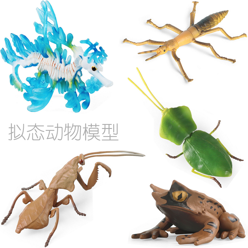 拟态动物枯叶螳螂竹节虫海龙教具