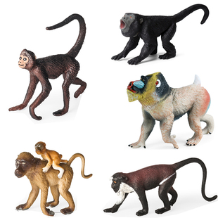 硬树脂吼猴子玩具蜘蛛猴戴安娜长尾猴狒狒山魈红面猴仿真小模型