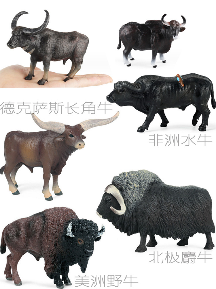 단단한 플라스틱 북극 사향소 모델 야크 아메리카 들소 텍사스 롱혼 소 아프리카 버팔로 작은 장식품 장난감
