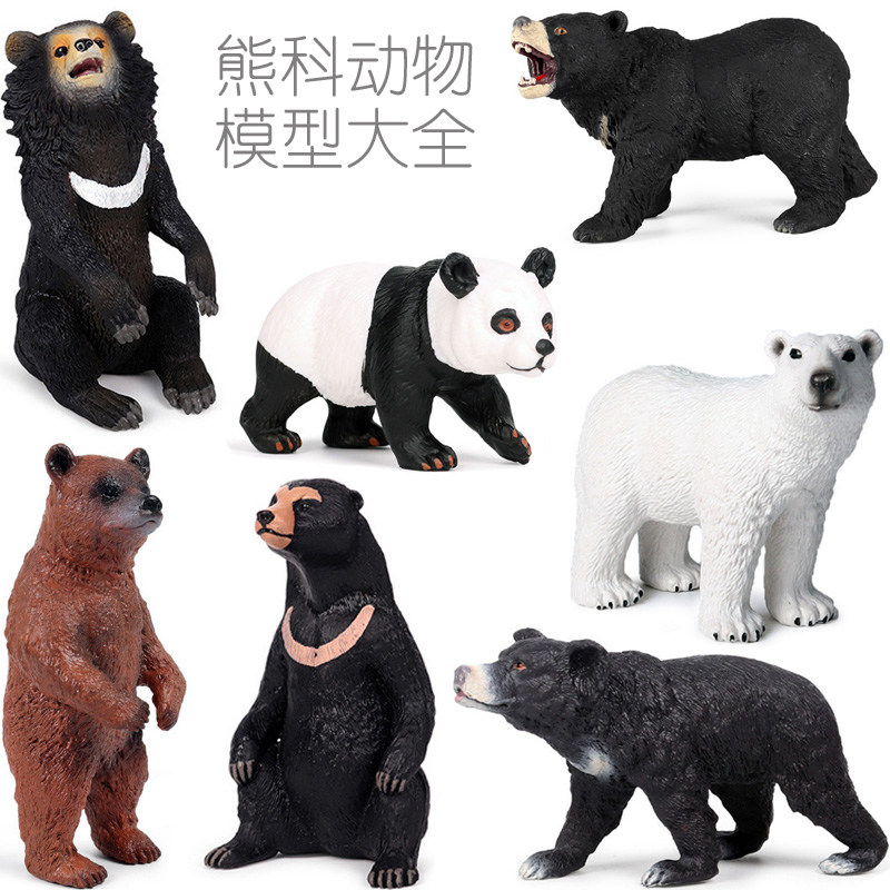 熊科动物科普:马来熊太阳熊懒熊美亚洲黑熊棕灰熊北极熊玩具道具