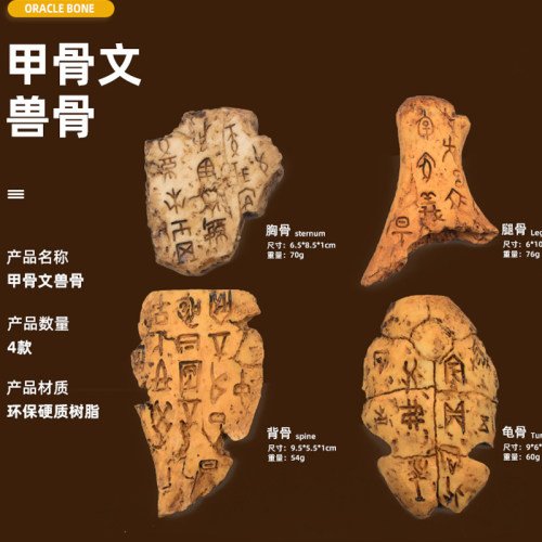 甲骨文龟甲兽骨4片一套仿真模型