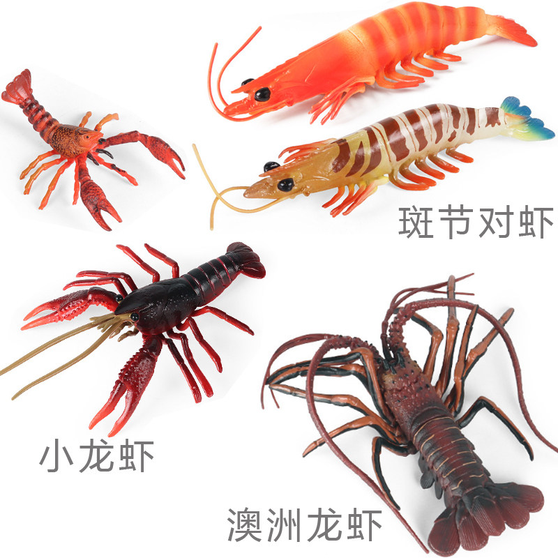 硬树脂斑节对虾仿真模型澳洲小龙虾克氏原螯虾少儿科普认知玩具