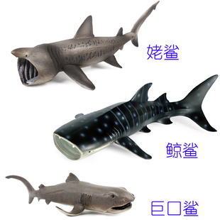 大型鲨鱼滤食性姥鲨蓝鲸鲨巨口鲨弓头鲸儿童认知海洋动物科教玩具