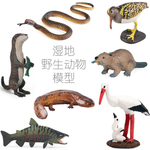 湿地公园野生动物水獭河狸彩鹬瑟鹭秧鸡水豚鸳鸯绿头鸭儿童小玩具