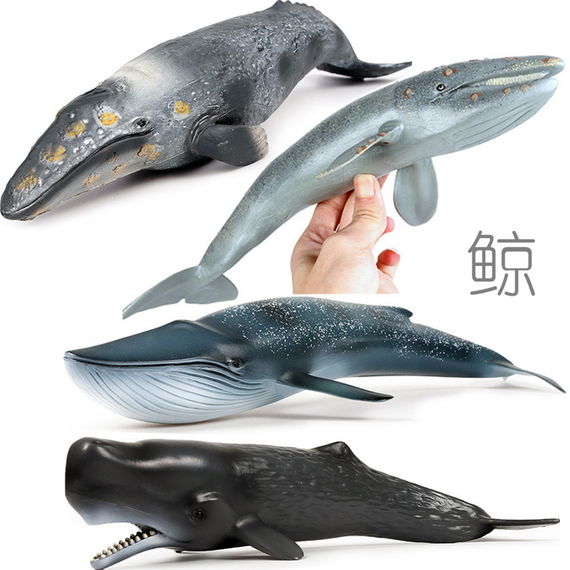 仿真蓝鲸玩具抹香鲸灰鲸座头露脊