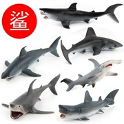 Mô phỏng đồ chơi cá mập mô hình Great White Shark Doll Mega Răng Mô hình đồ chơi Tiger Shark Sharkhead - Đồ chơi gia đình