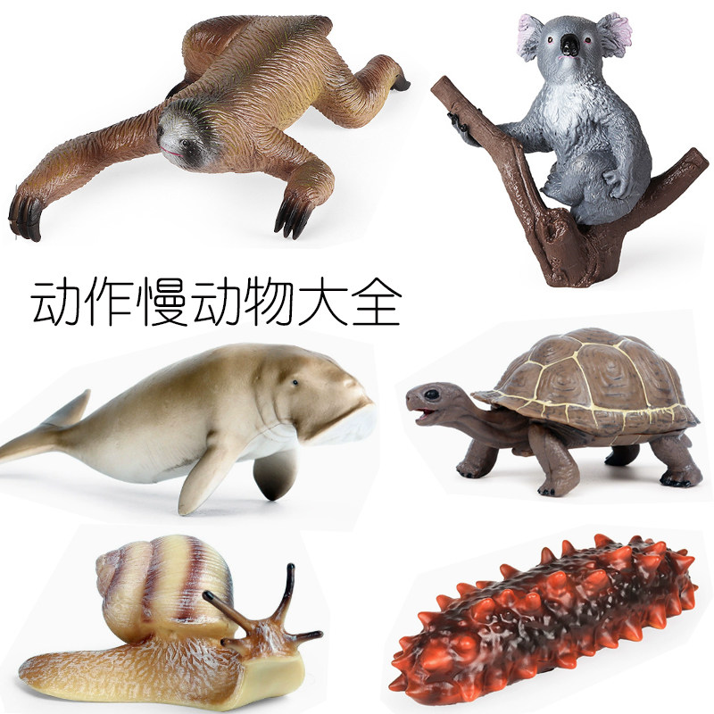科普道具：动作超慢动物考拉儒艮象龟海参蜗牛海星仿真模型小玩具