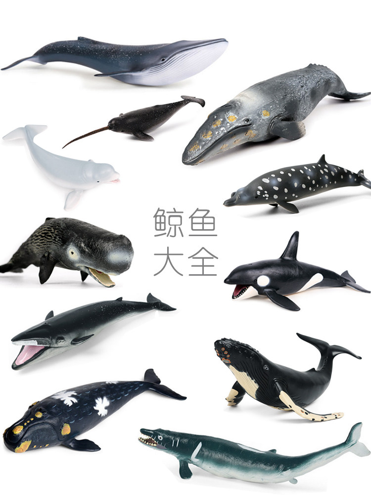 브라이드 부리 고래 장식품 참고래 지느러미 고래 왕고래 시뮬레이션 모델 파란색과 흰색 회색 고래 장난감 인형