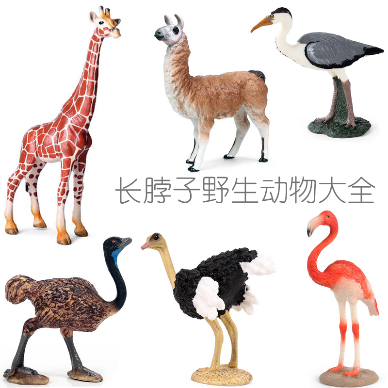 少儿科普:长脖子野生动物大全长颈鹿鸵鸟火烈鸟苍鹭羊驼蒙氏玩具