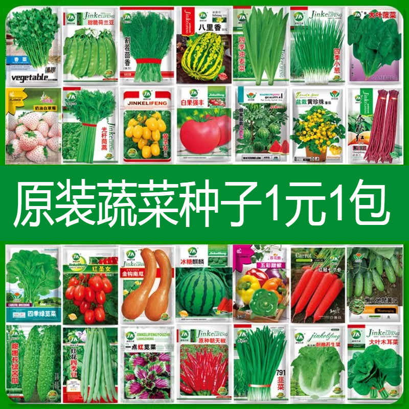 蔬菜种子香菜番茄辣椒豆