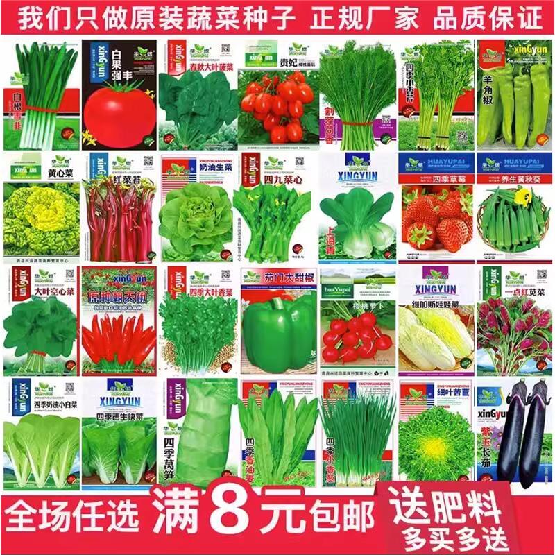 精选蔬菜种子种籽菜籽种彩包四季生菜种孑朝天椒种阳台芦笋种盆栽