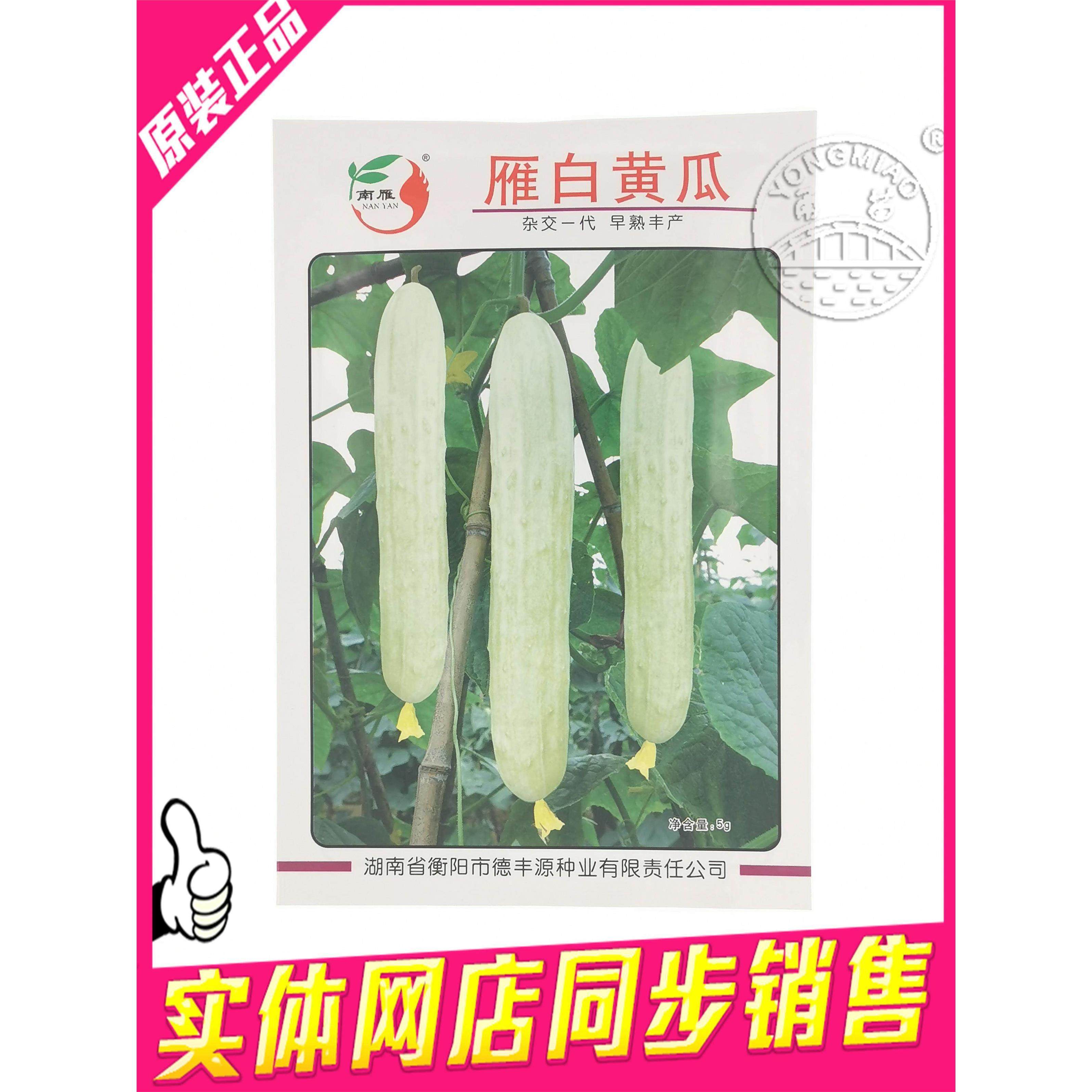 南雁雁白黄瓜种子燕白黄瓜种子抗寒抗病 长棒形乳白色 5克,农用物资,蔬菜种子/种苗,淘宝优惠券,粉丝福利购,淘宝优惠卷