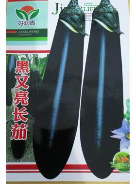 亮黑长茄茄子种子种籽原装黑紫色特长超长特大蔬菜四季大田种