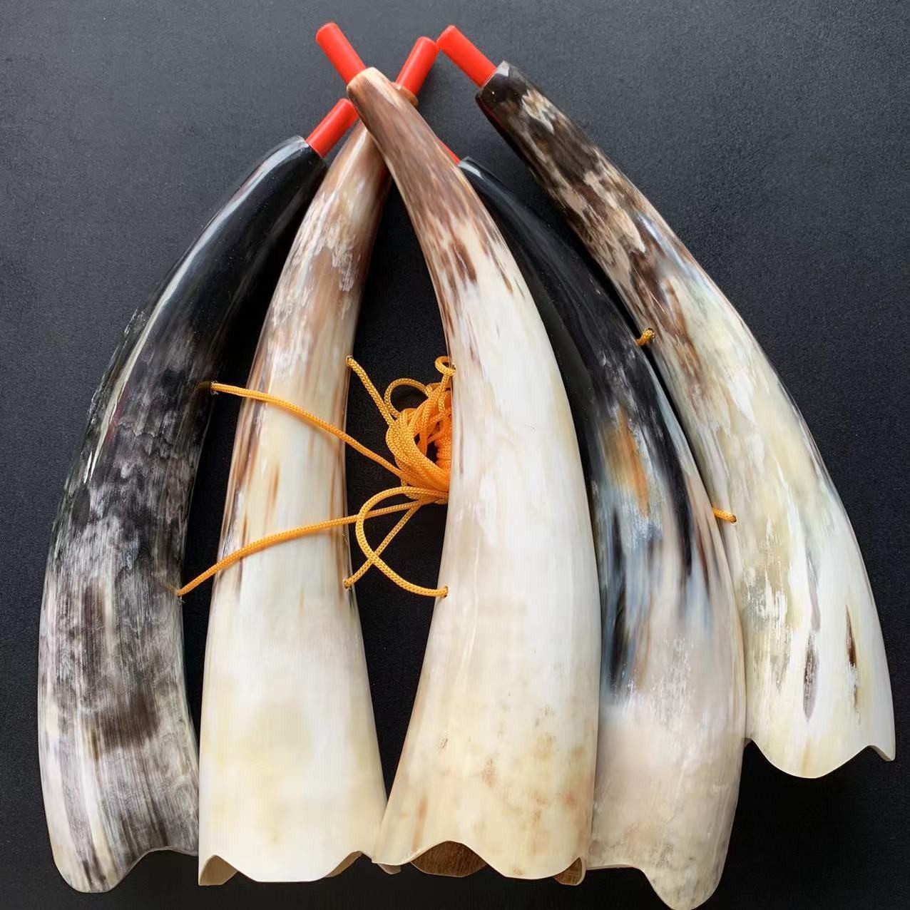 黑水牛号角牛角号角乐器古代道士舞台演出奏道具长吹号大喇叭吹响