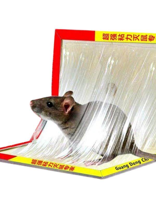 MOUSE STICKS STRONG STICKY MOUSE BOARD GLUE BIG MOUSE A NEST OF MOUSE STICKER STICKER HOME THICKENED STICK MOUSE ARTIFACT
