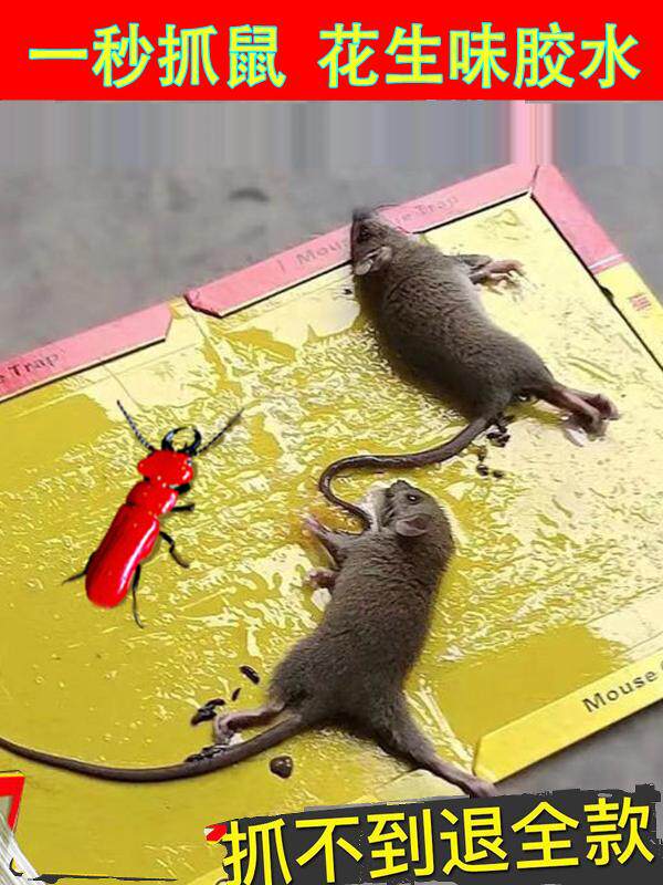 MOUSE STICKS STRONG STICKY MOUSE BOARD GLUE BIG MOUSE A NEST OF MOUSE STICKER STICKER HOME THICKENED STICK MOUSE ARTIFACT