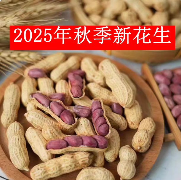 2024年福建龙岩花生正宗湿烤紫衣白晒蒜香咸香酥脆闽西特产5斤装