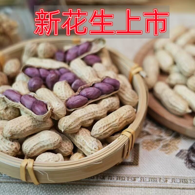 2025年福建龙岩花生正宗湿烤紫衣白晒蒜香咸香酥脆闽西特产5斤装
