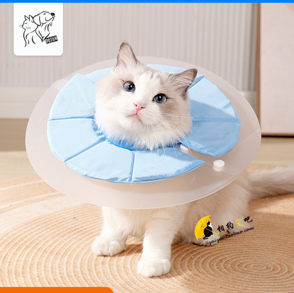 加长伊丽莎白圈猫咪绝育术后防舔猫藓驱虫加深防抓头套双层两用轻