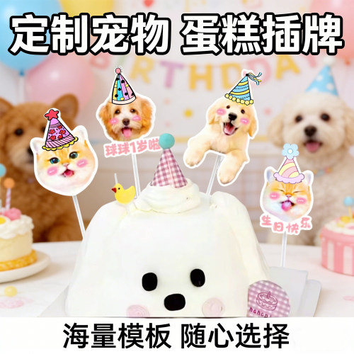 宠物生日插牌装饰定制猫咪狗狗