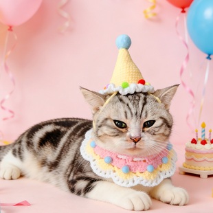 宠物猫咪狗狗露耳帽子围脖套装头套围兜针织小狗小猫生日装扮拍照