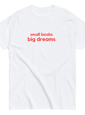 SMALL BOOBS BIG DREAMS搞笑趣味美式简约打底短袖百搭 t恤男女潮