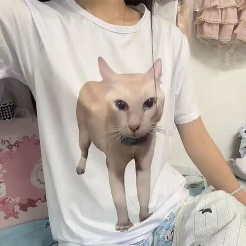 丑橘可爱猫纯棉短袖T恤夏上衣男