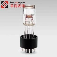 R12896 R9182 R8S20 R12829 R3991A R3886A R10825 R10824 PMT