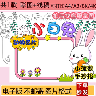 动物小兔名片手抄报模板电子版小学生动物黑白线稿打印涂色