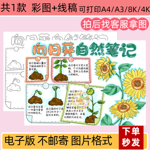 向日葵植物生长自然笔记手抄报线稿可打印观察日记小报电子版A4