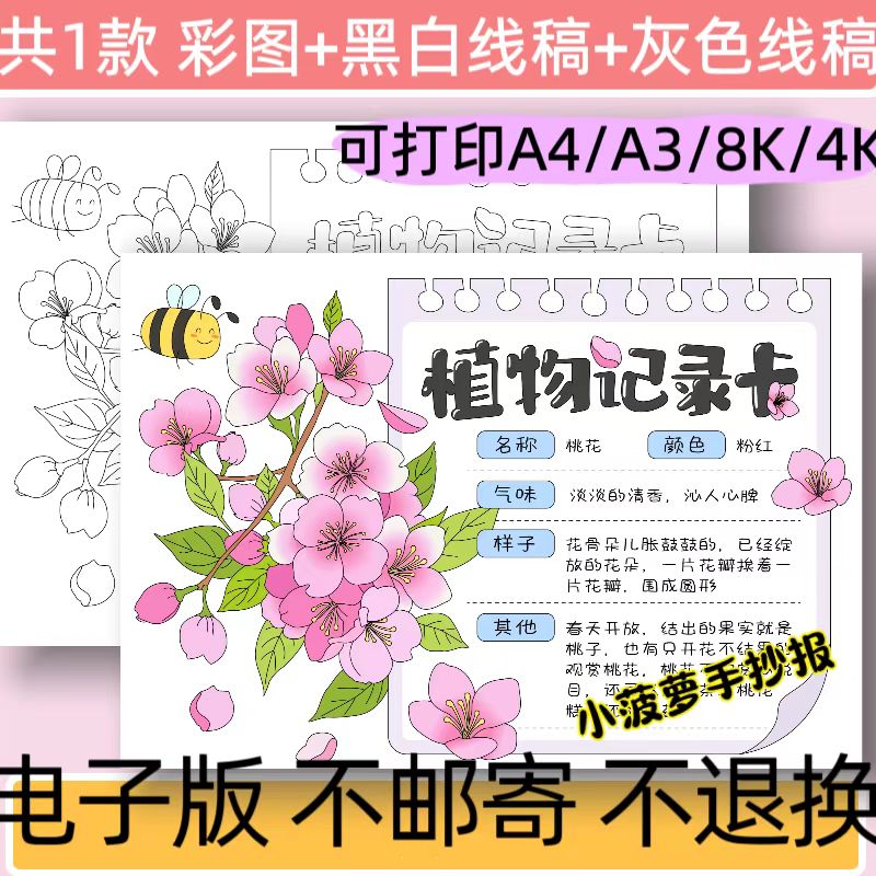 B24植物记录卡手抄报模板电子版植物名片樱花植物观察日记线稿