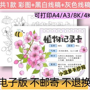 B24植物记录卡手抄报模板电子版植物名片樱花植物观察日记线稿