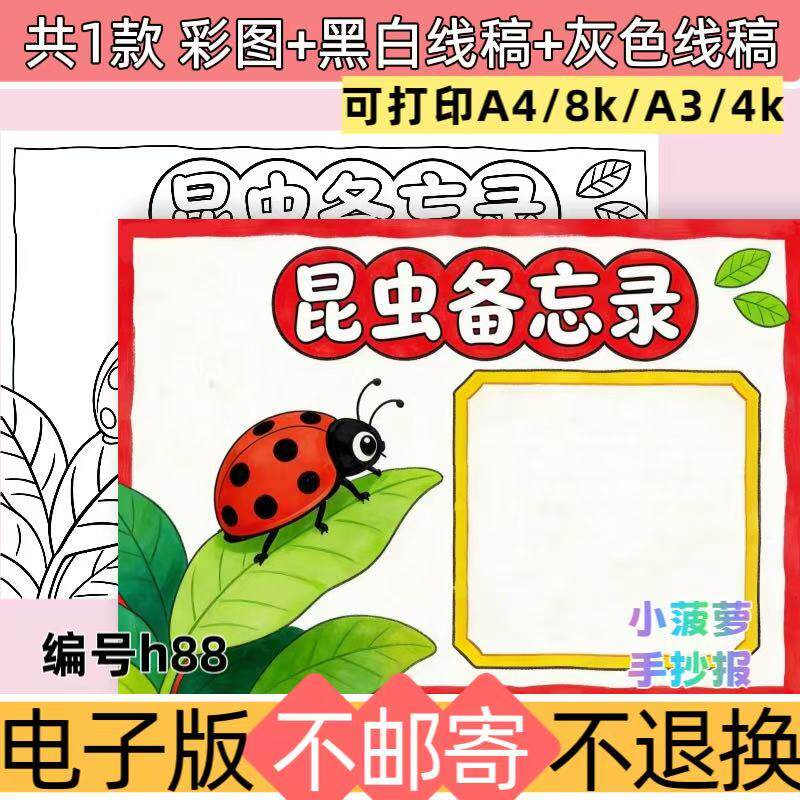 h88七星瓢虫昆虫备忘录手抄报昆虫记小报模板线稿电子版A4