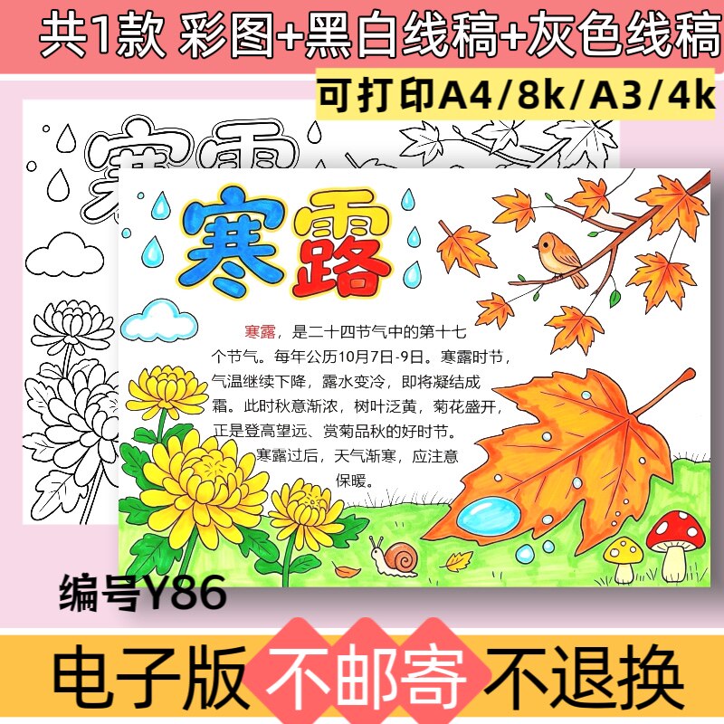Y86寒露手抄报电子版模板二十四节气传统节日秋天的季节黑白线稿